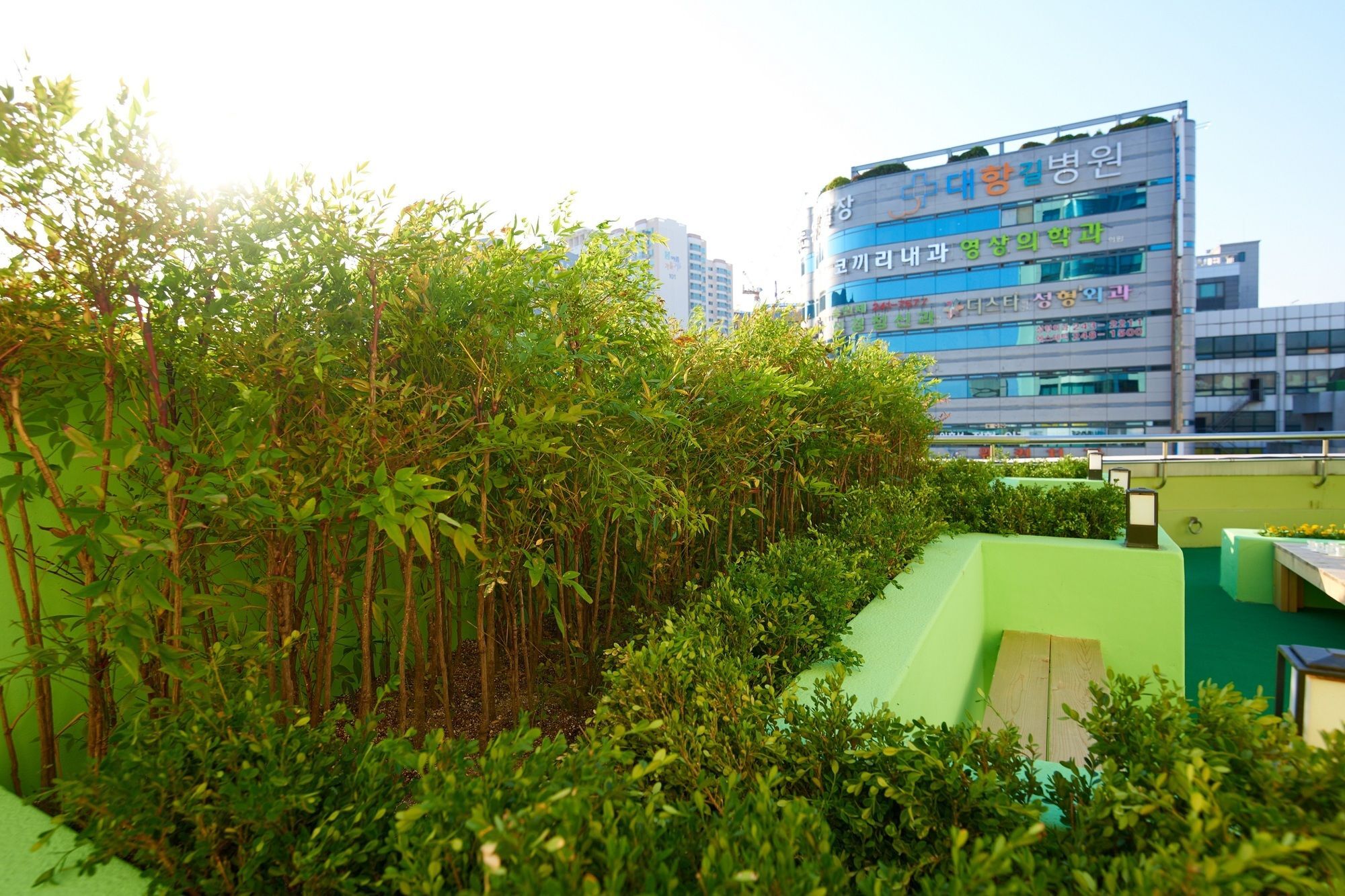 24 Guesthouse Jagalchi Busan Luaran gambar