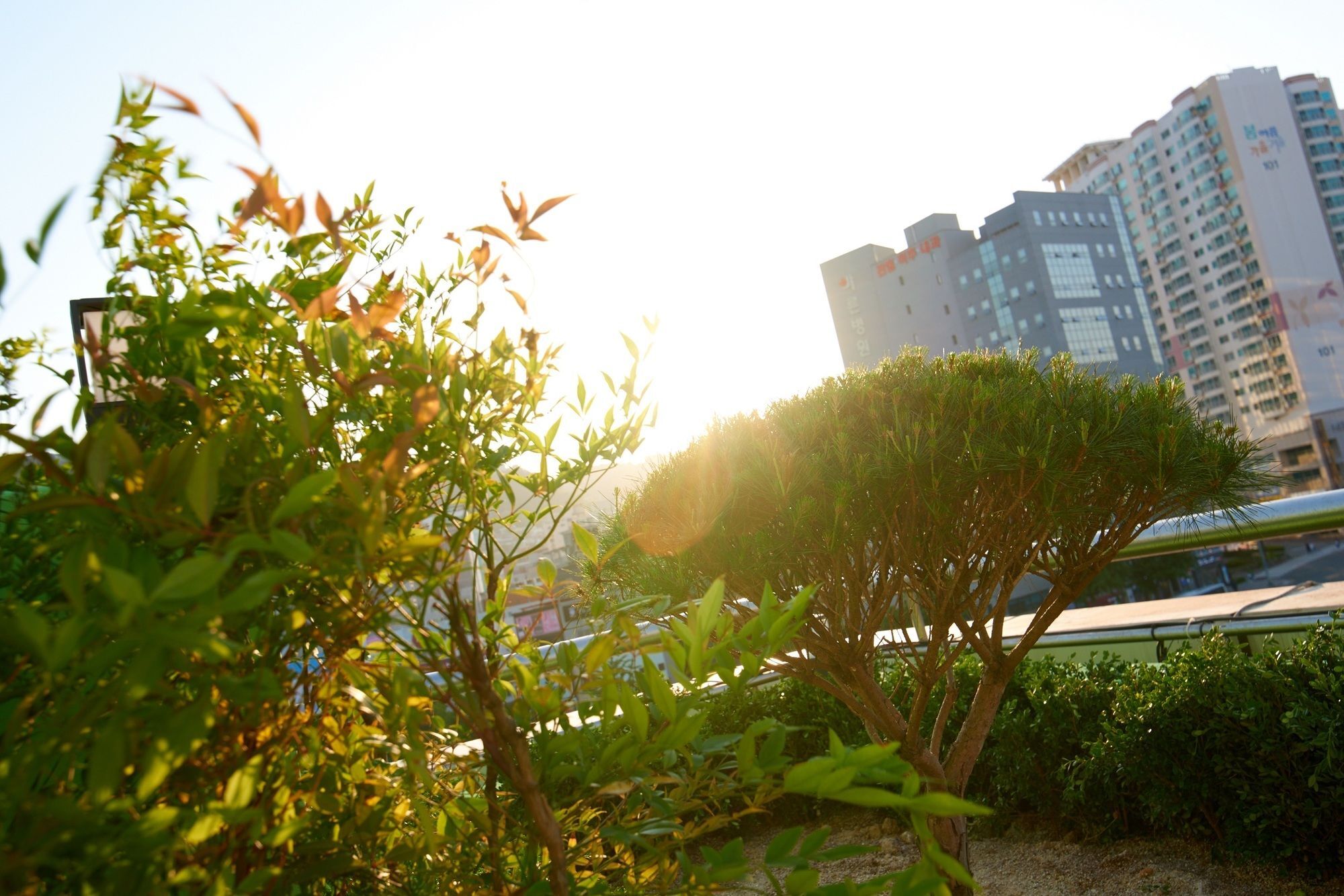 24 Guesthouse Jagalchi Busan Luaran gambar